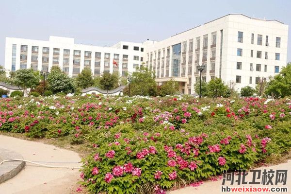 河北同仁醫(yī)學(xué)中等專(zhuān)業(yè)學(xué)校2025年招生簡(jiǎn)章